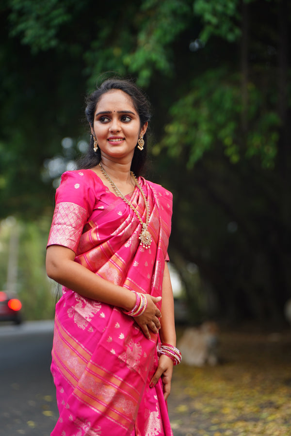 Kanjivaram silk